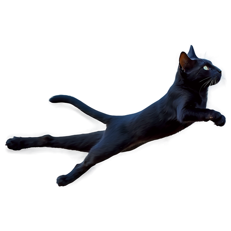 Black Cat Leaping Png Ejp