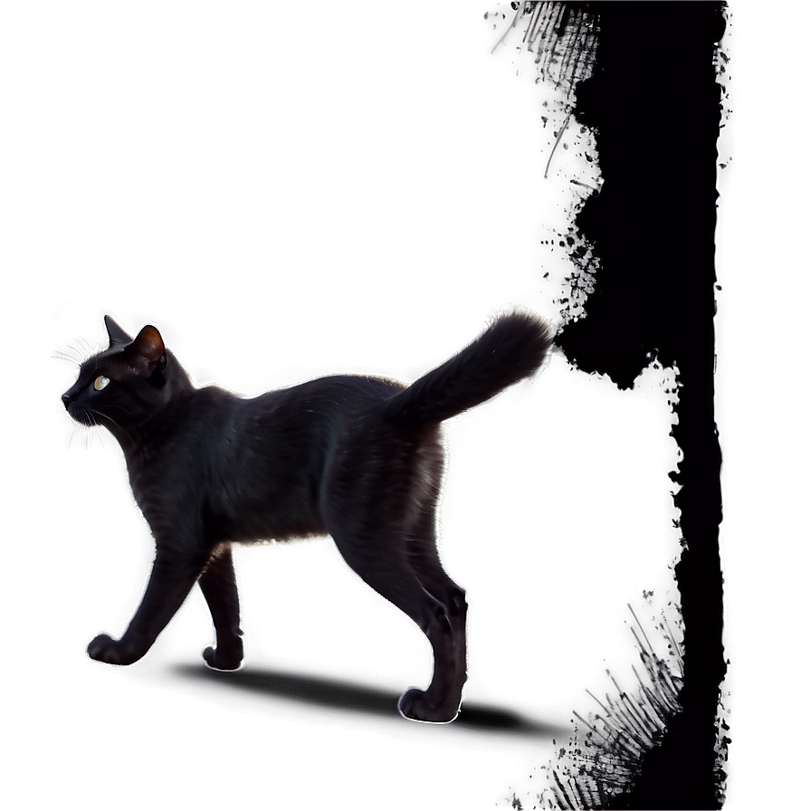 Black Cat Walking Png 71