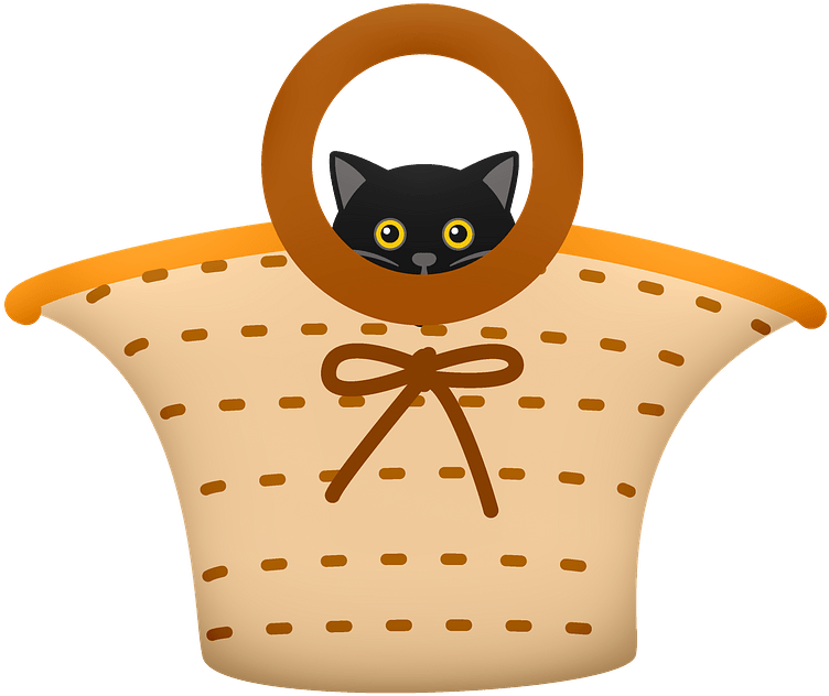 Black Catin Basket Graphic