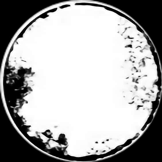 Black Circle White Center Abstract