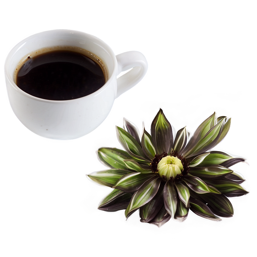 Black Coffee Chicory Png Dlq