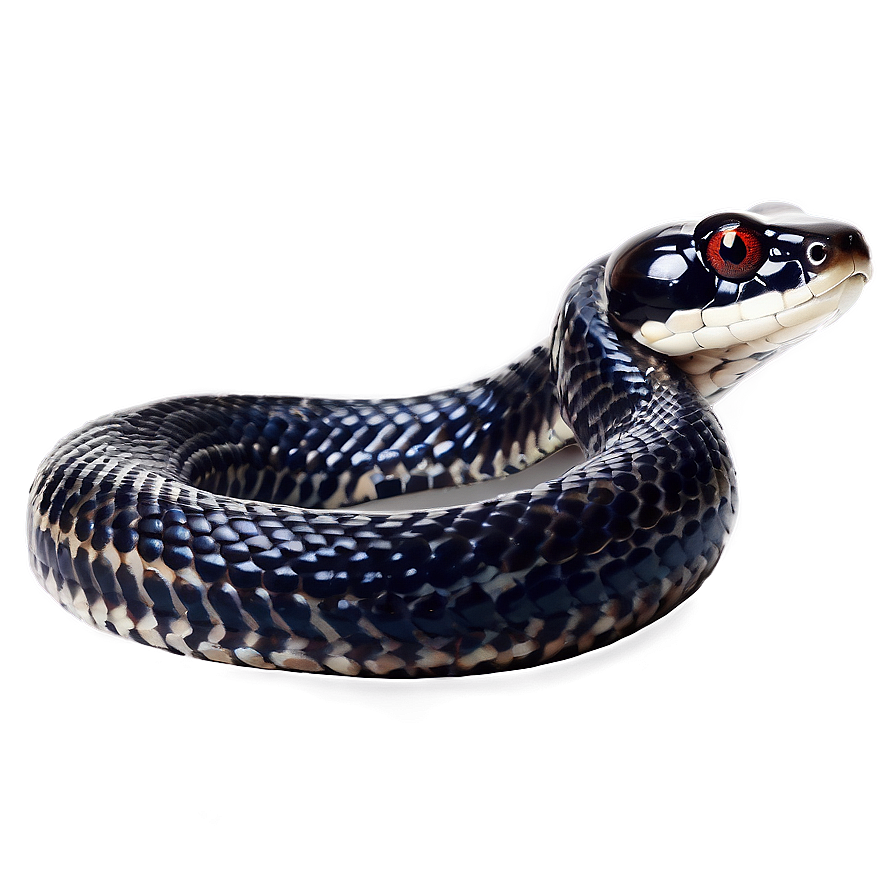 Black Corn Snake Png 76