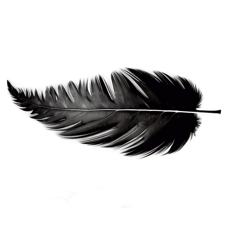 Black Feather Texture Png 06202024