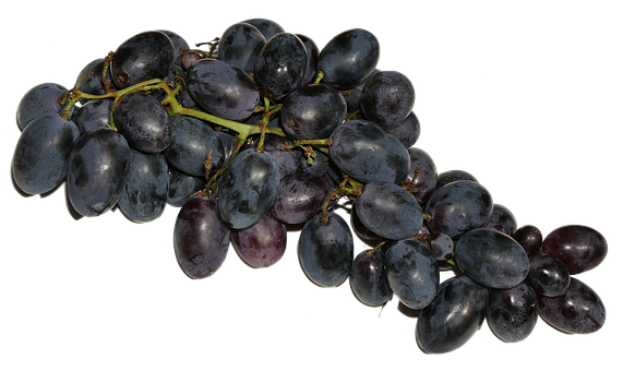 Black Grapes Cluster Dark Background