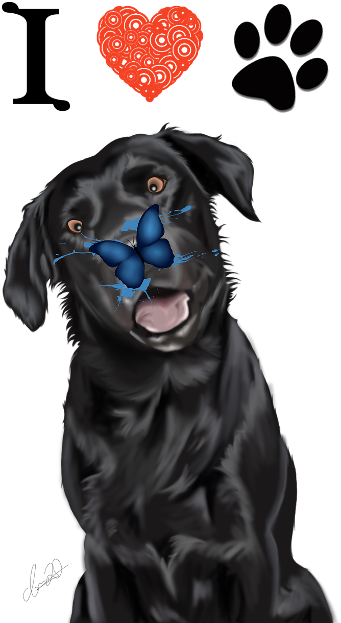 Black Labrador Love Illustration