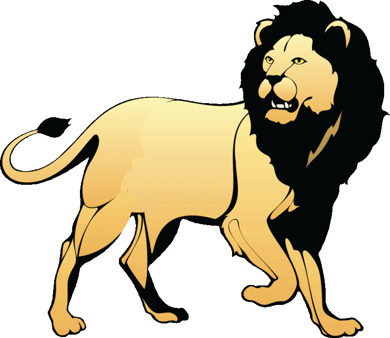 Black Maned Lion Illustration