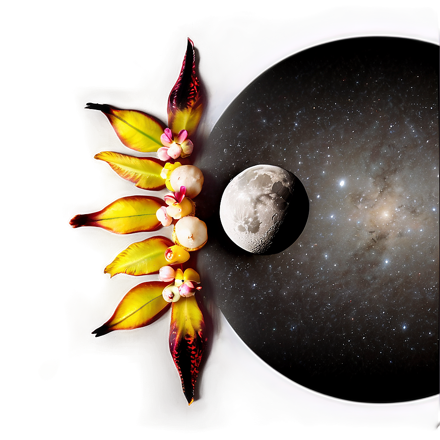 Black Moon Ritual Png 06252024