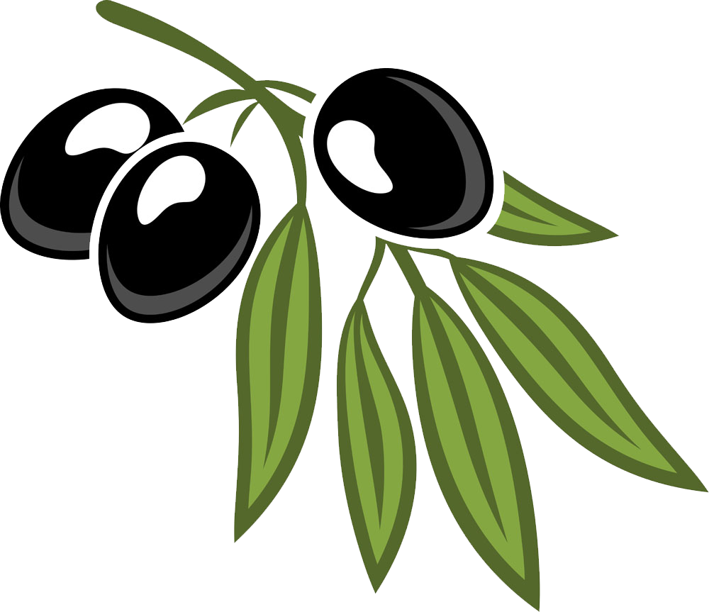 Black Olives Branch Illustration