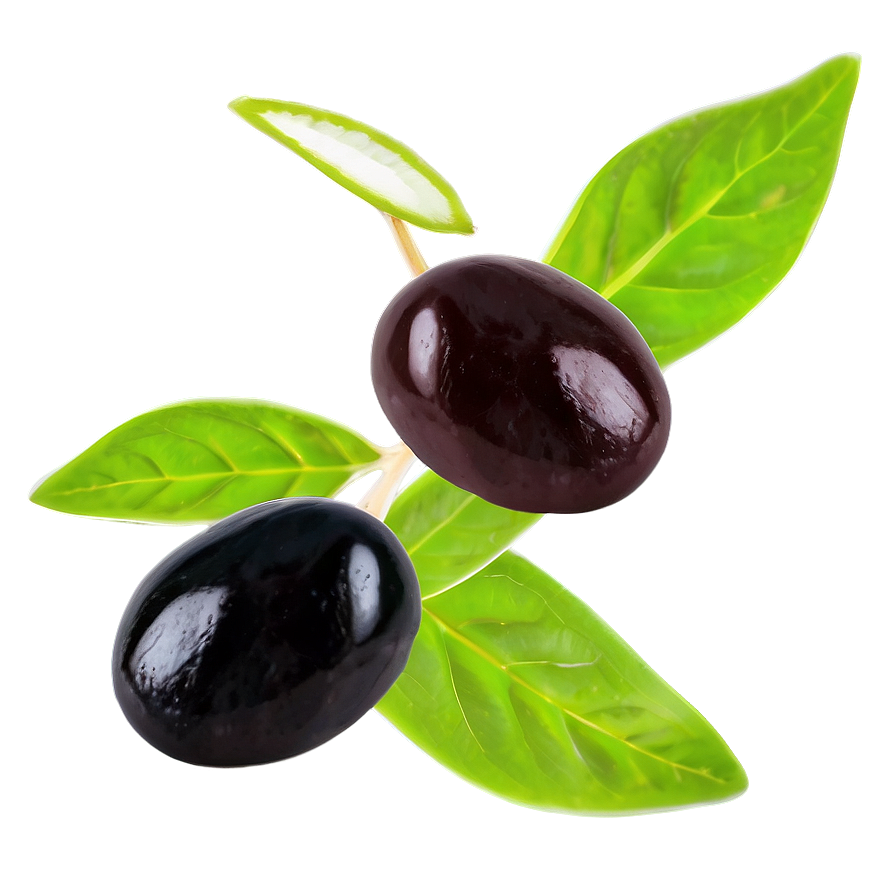 Black Olives With Herbs Png Fxn87