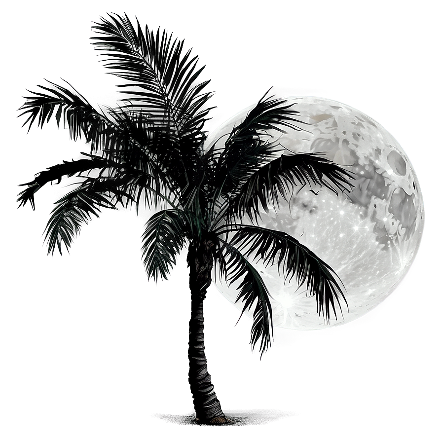 Black Palm Tree With Moon Png 06262024