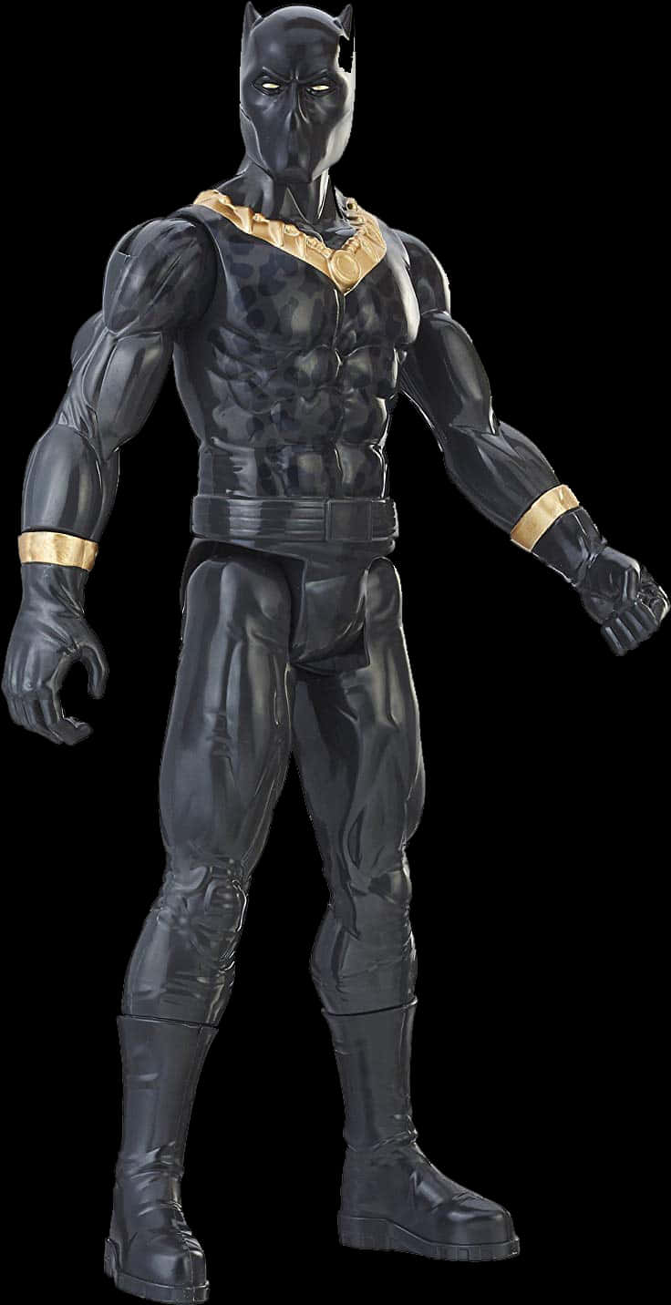 Black Panther Full Costume Stance