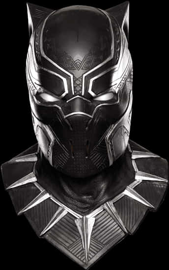 Black Panther Helmetand Shoulders