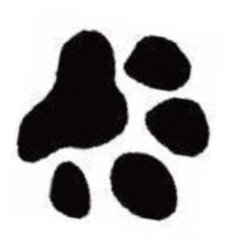 Black Paw Print Graphic