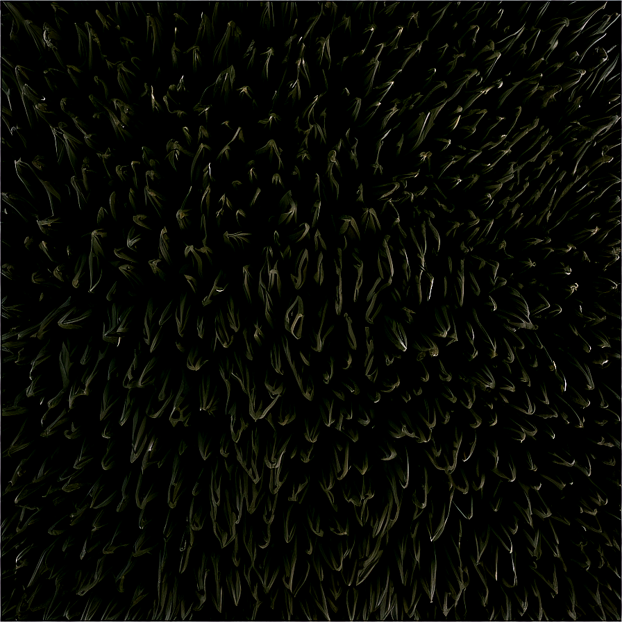 Black Plush Carpet Texture Png 51