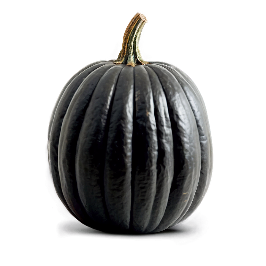 Black Pumpkin Decor Png 06282024