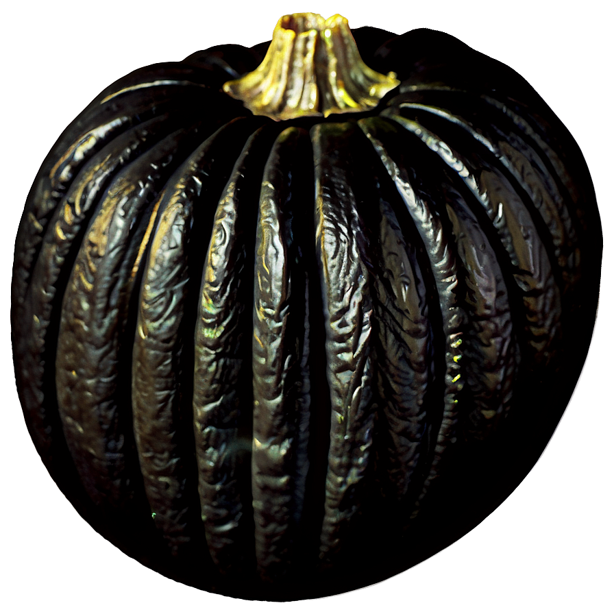 Black Pumpkin With Spider Png 80