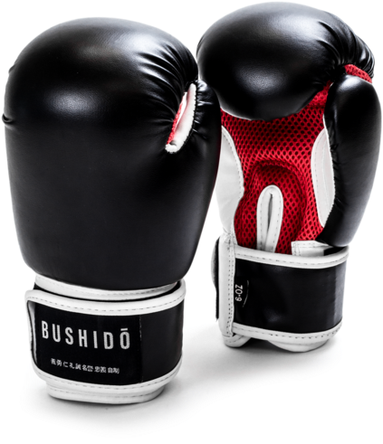 Black Red Bushido Boxing Gloves