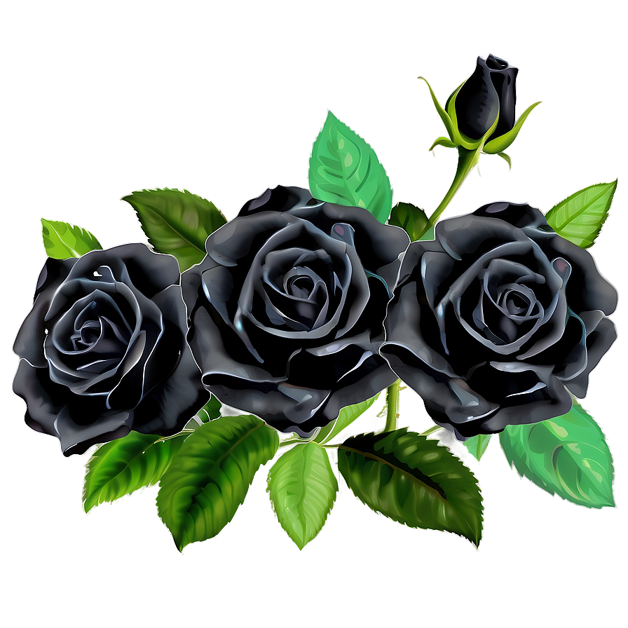 Black Roses Garden Png 06212024