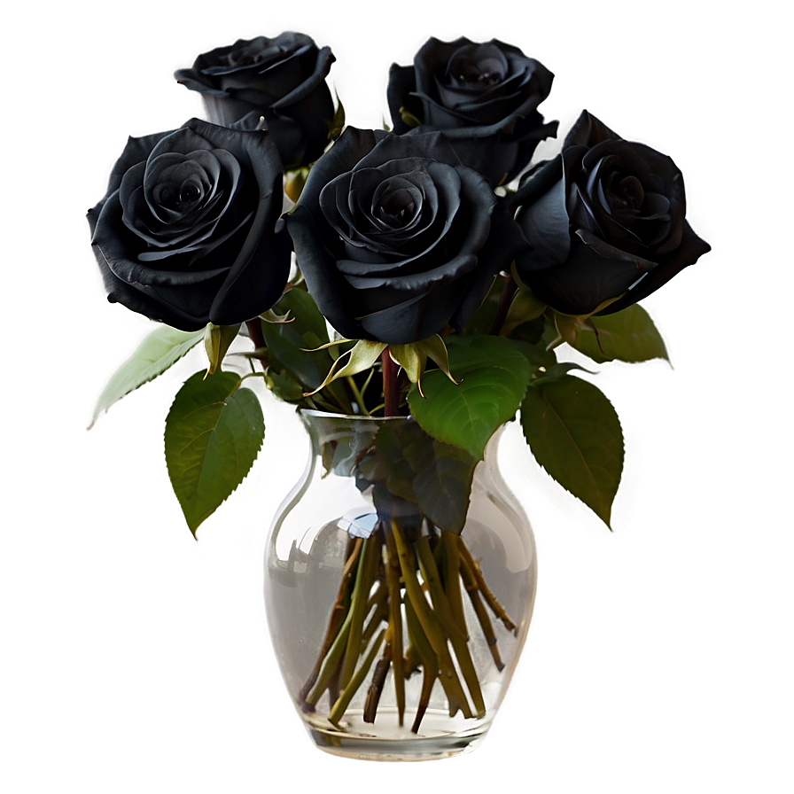 Black Roses In Vase Png 06212024