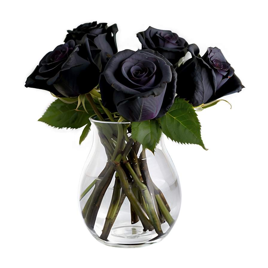 Black Roses In Vase Png 48