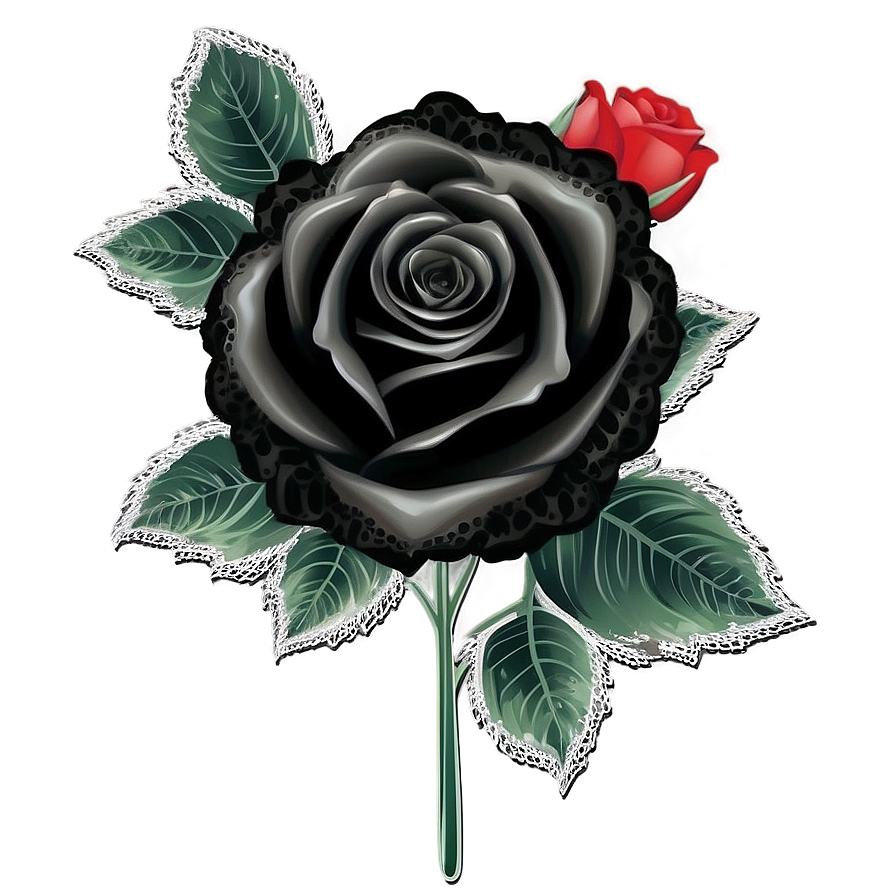 Black Roses With Lace Png 06212024