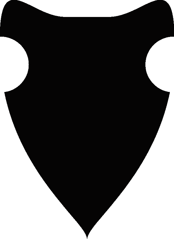 Black Shield Icon Silhouette