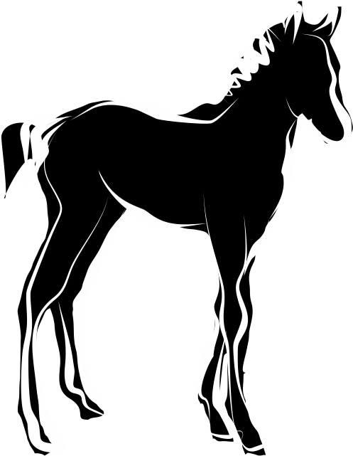 Black Silhouette Foal Illustration