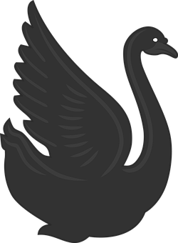 Black Silhouette Swan