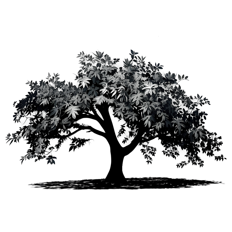 Black Tree Shadow Png Dup50