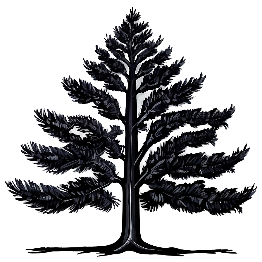 Black Trees Drawing Png 06292024