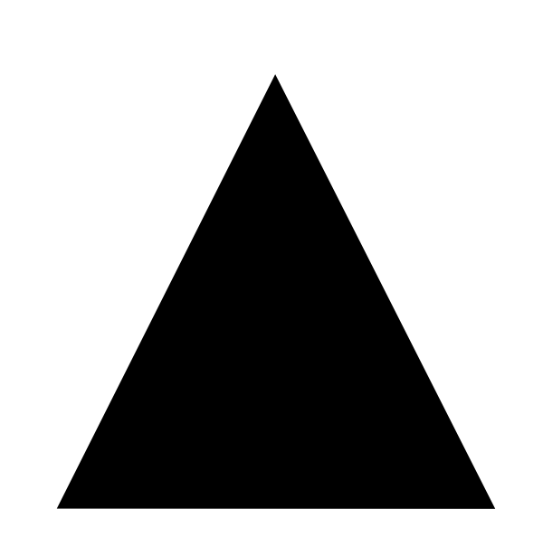 Black Triangle White Outline
