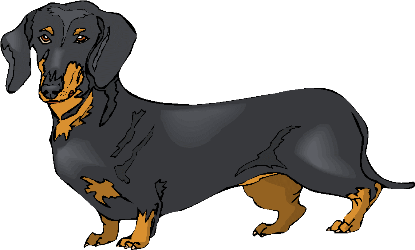 Blackand Tan Dachshund Illustration