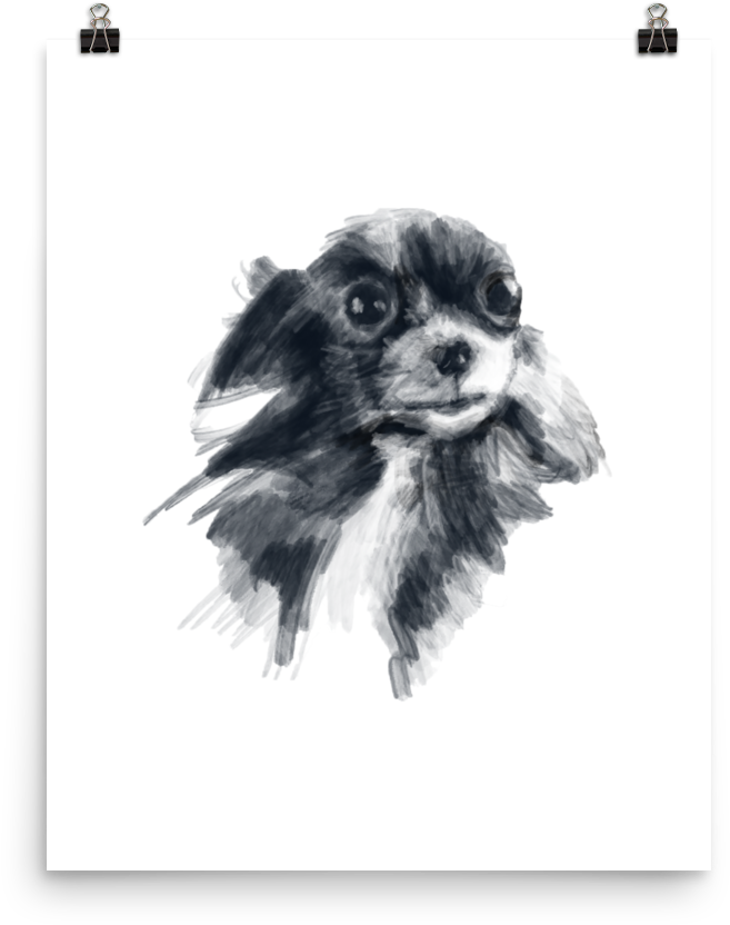 Blackand White Chihuahua Sketch