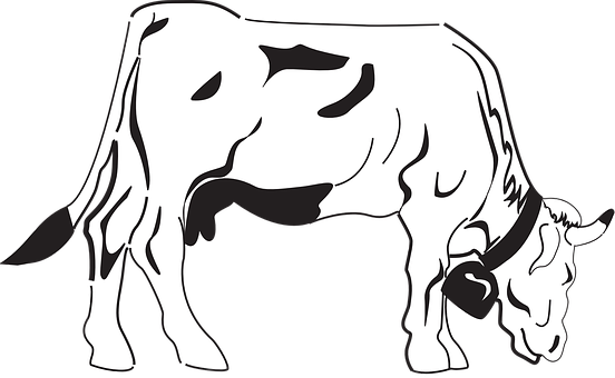 Blackand White Cow Illustration