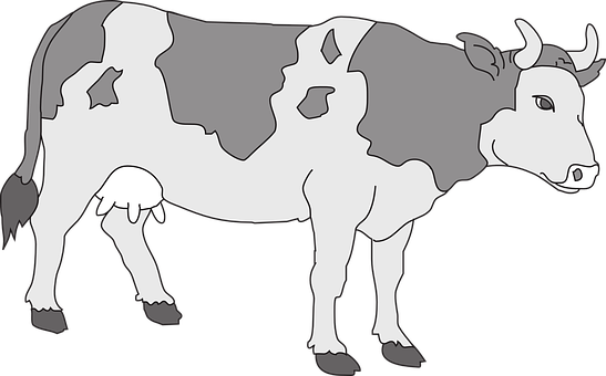 Blackand White Cow Illustration