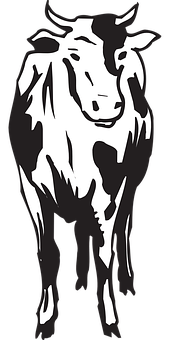 Blackand White Cow Illustration