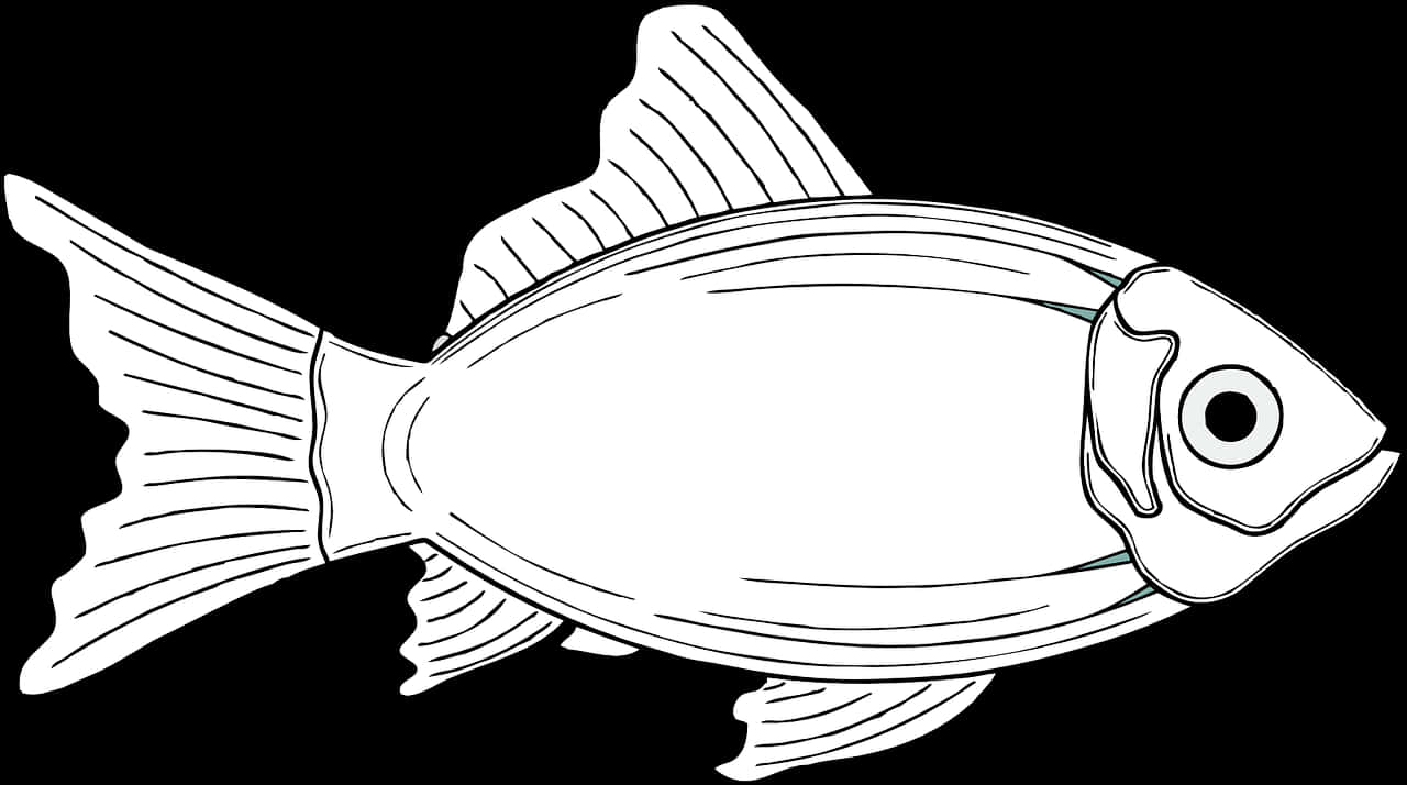 Blackand White Fish Illustration