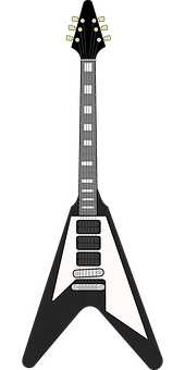 Blackand White Flying V Guitar