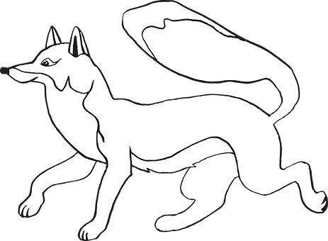 Blackand White Fox Illustration