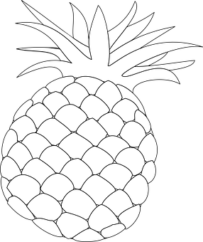 Blackand White Pineapple Graphic