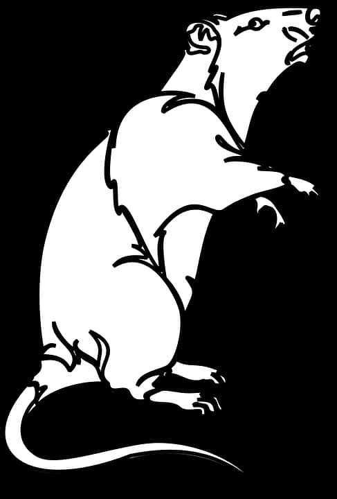 Blackand White Rat Silhouette