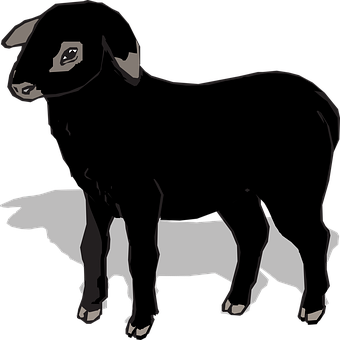 Blackand White Sheep Illustration