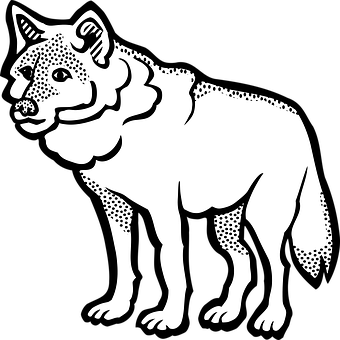 Blackand White Wolf Illustration