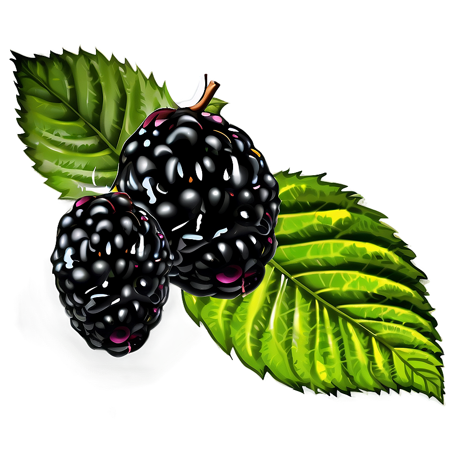 Blackberry Collection Png Iqg32