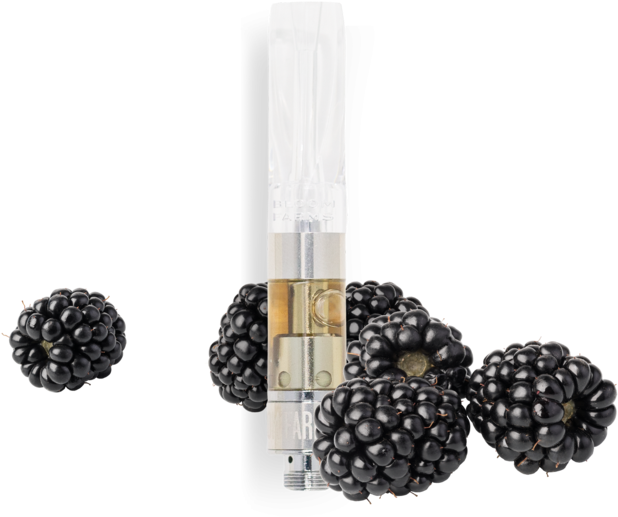 Blackberry Flavored Vape Cartridge