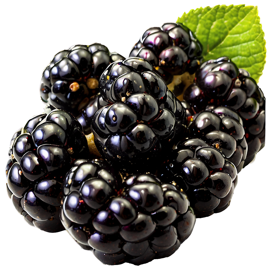 Blackberry Nutrition Png Mga8