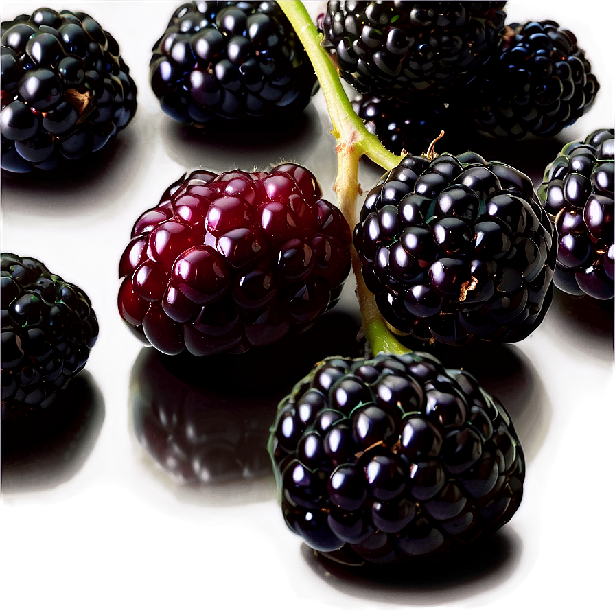 Blackberry Recipe Png 05232024