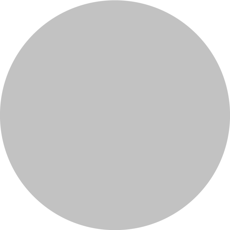 Blank Canvas Grey Circle