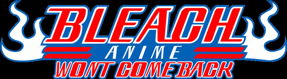 Bleach Anime Return Statement