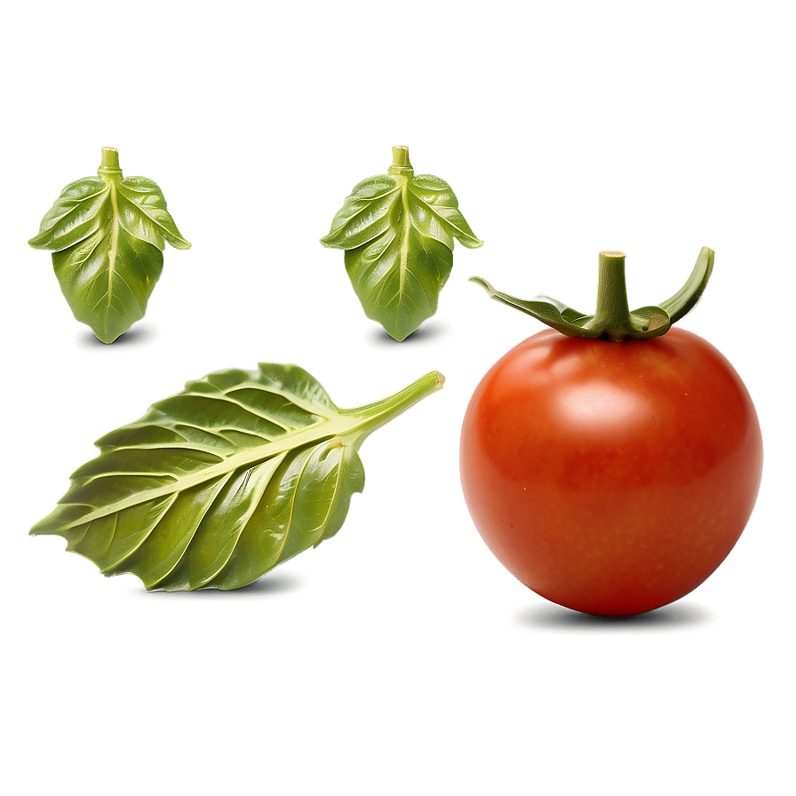 Blistered Tomatoes Png 06212024